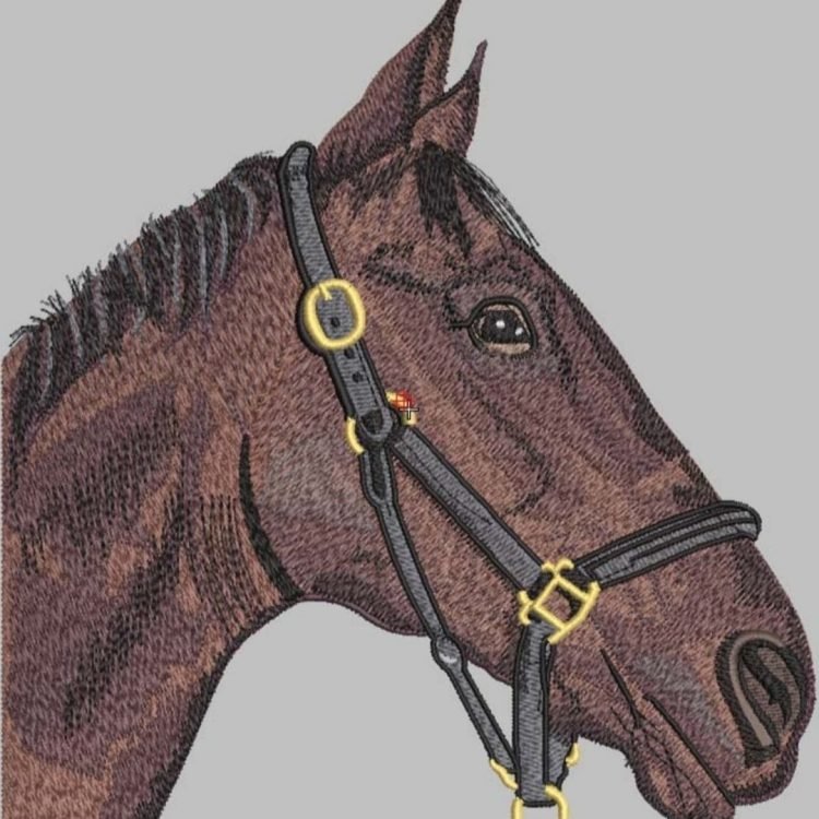 About whatsapp image 2026 01 22 at 10.17.48.jpeg