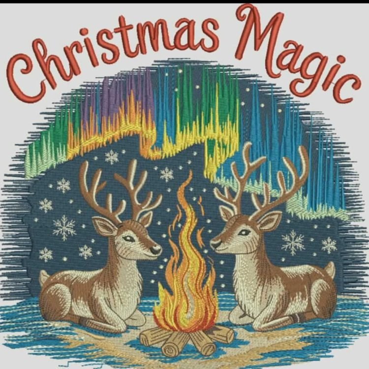 About WhatsApp Image 2026-01-28 at 20.26.28